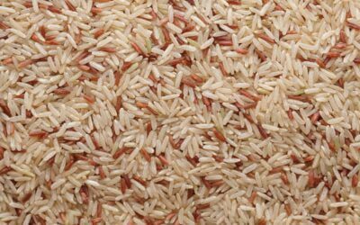 Brown or White Rice Which is Healthier Option for You