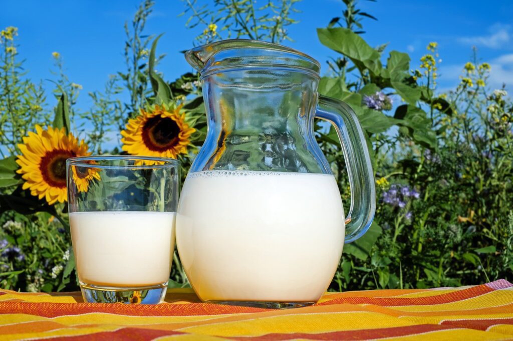 Which Type of Cow's Milk is Good for Healthy Body?