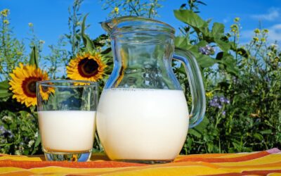 Which Type of Cow's Milk is Good for Healthy Body?
