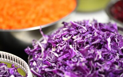 Top 10 Health Benefits of Purple Cabbage With Recipe