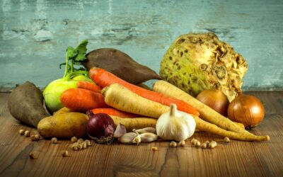 Health Condition Based Free AI Diet Planner