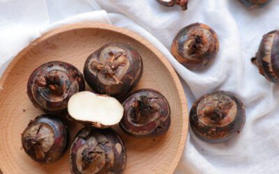 15 Melhores De Água Castanha Substituir Você Deve Tentar