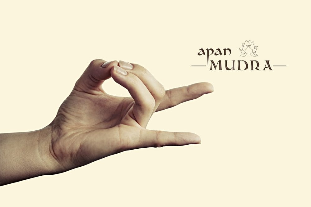 Apan Mudra: Meaning, Benefits, Side Effects, How To Do and Precautions