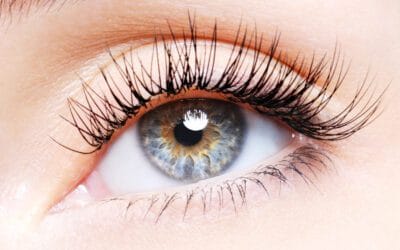 Bulu mata di mata: penyebab, gejala, pengobatan dan pengobatan rumahan