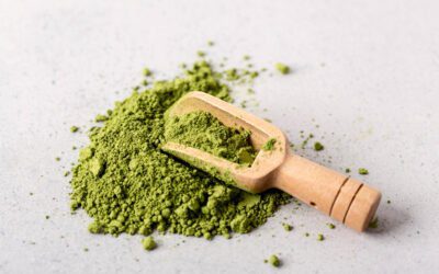 Algae: the New Eco-sustainable Vegetable Protein for Your Muscles