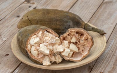 What Does Baobab Taste Like? A Comprehensive Guide