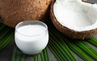 kefir de coco